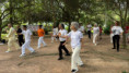 /album/dia-mundial-do-tai-chi-chuan-e-qi-gong-2026/pratica-tcc-mestre-hon-li-1-jpeg/